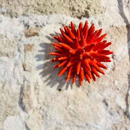 Apartamento Picasso Art Alghero