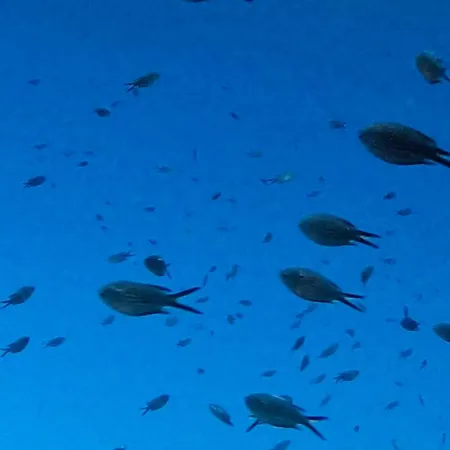 Apartamento Picasso Art Alghero