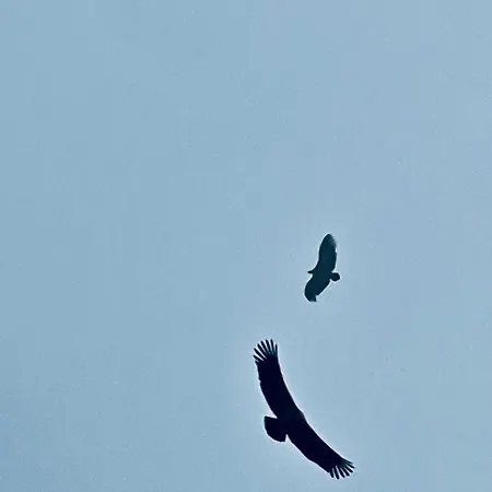 Picasso Art Apartamento