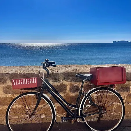 Picasso Art Alghero