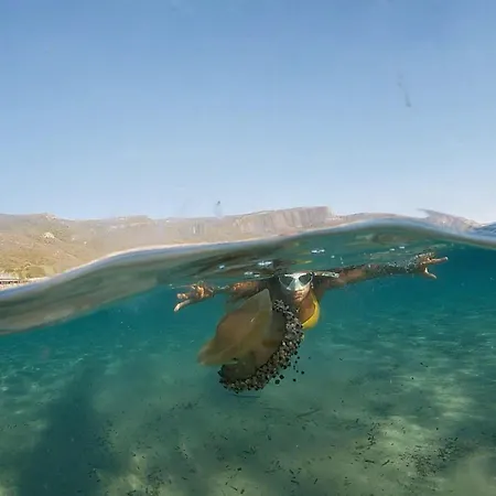 Appartement Picasso Art *