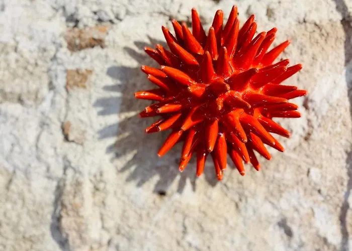 Appartement Picasso Art Alghero