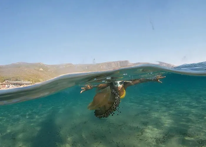 Appartement Picasso Art *