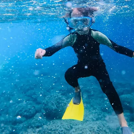 Lägenhet Picasso Art